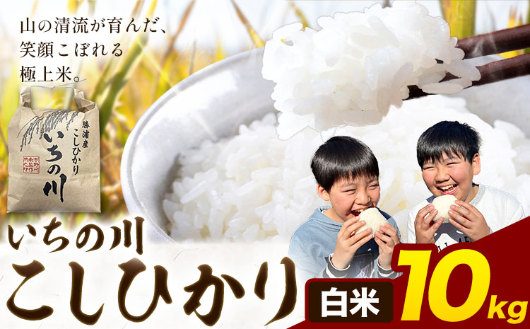 米 こめ コメ 令和7年産 いちの川 コシヒカリ 白米 10kg 市野川米製作所 《30日以内に出荷予定(土日祝除く)》米 ご飯 こしひかり