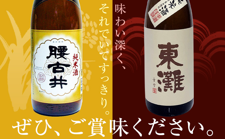 勝浦の純米酒1.8L・2本入セットC 東灘 純米 きもと造 1.8L 腰古井 純米酒 1.8L 有限会社　滝口商店《30日以内に出荷予定(土日祝除く)》千葉県 勝浦市 日本酒 酒 純米