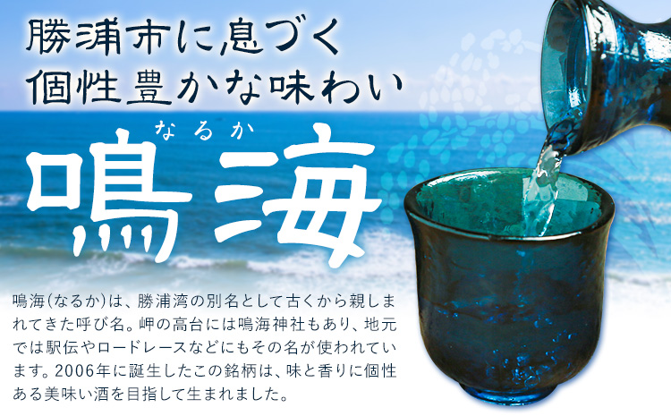 鳴海 きもと純米大吟醸 720ml 1本 有限会社 滝口商店《30日以内に出荷予定(土日祝除く)》千葉県 勝浦市 日本酒 酒 純米 大吟醸 きもと