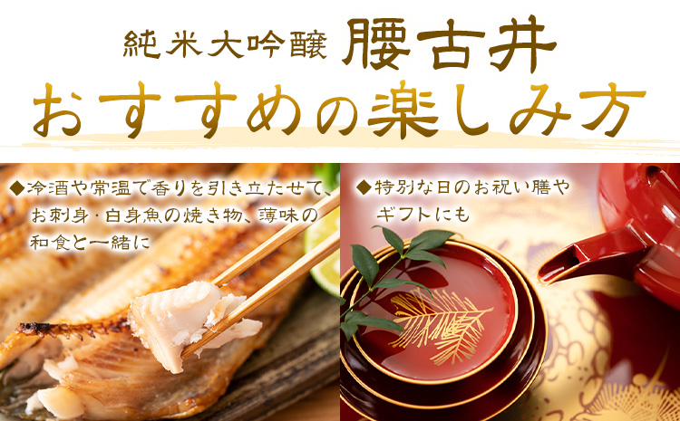 日本酒 腰古井 純米大吟醸 720ml 1本 有限会社 滝口商店《30日以内に出荷予定(土日祝除く)》千葉県 勝浦市 日本酒 酒 純米 大吟醸