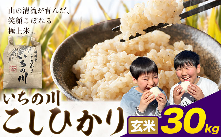 米 こめ コメ 令和7年産 いちの川 コシヒカリ 玄米 30kg 市野川米製作所 《30日以内に出荷予定(土日祝除く)》米 ご飯 こしひかり