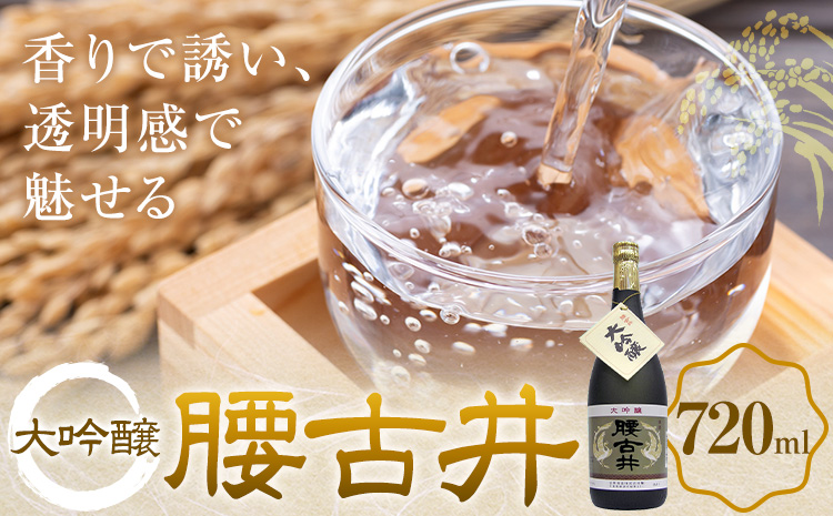 腰古井 大吟醸 720ml 1本 有限会社 滝口商店《30日以内に出荷予定(土日祝除く)》千葉県 勝浦市 日本酒 酒 大吟醸
