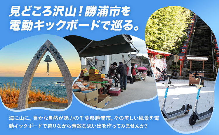 BIRD 電動キックボード 15時間 ライド 無料 ギフトコード 株式会社 Mobilco《90日以内に出荷予定(土日祝除く)》千葉県 勝浦市 電動キックボード 送料無料