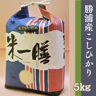 【令和6年産新米】勝浦産コシヒカリ　精米(5kg)【1546106】