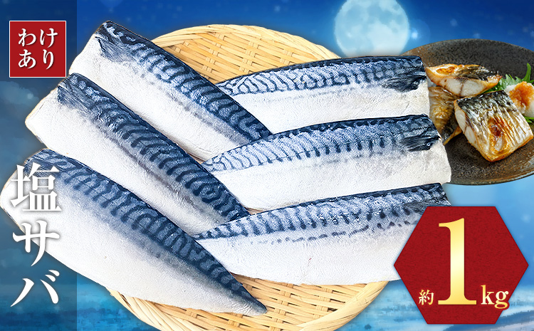 訳あり 塩サバ 1kg 海鮮 無添加《90日以内に出荷予定(土日祝除く)》切り身 千葉県 勝浦市 株式会社西川 塩 さば サバ 魚 無添加 鯖 冷凍 塩さば 規格外 大容量【配送不可地域：離島】