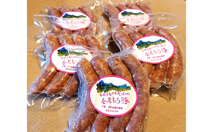 ソーセージ 4本入り 5パック 計20本 肉 お肉 豚肉 ウインナー ウィンナー おかず 惣菜 朝食 おつまみ つまみ お酒のおつまみ お酒のあて 加工品 加工食品 冷凍 冷凍配送 千葉 千葉県 市原 市原市