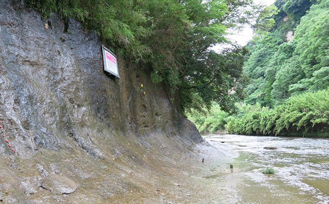【お礼の品なし 施設に芳名掲出】 チバニアン見学環境の整備に寄附を 支援 寄付