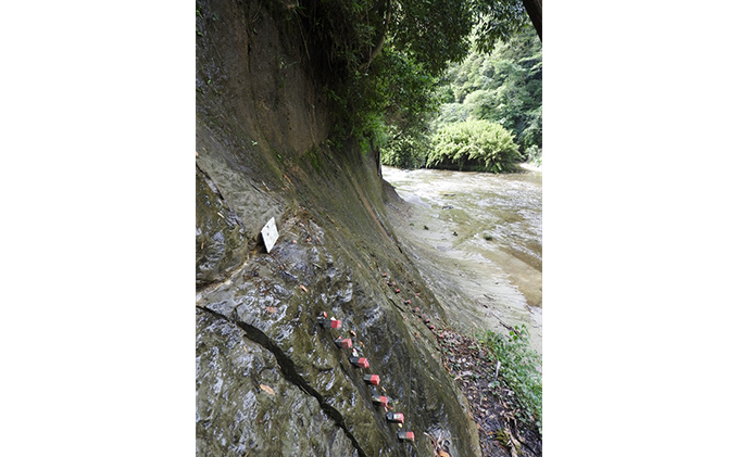 【お礼の品なし 施設に芳名掲出】 チバニアン見学環境の整備に寄附を 支援 寄付 