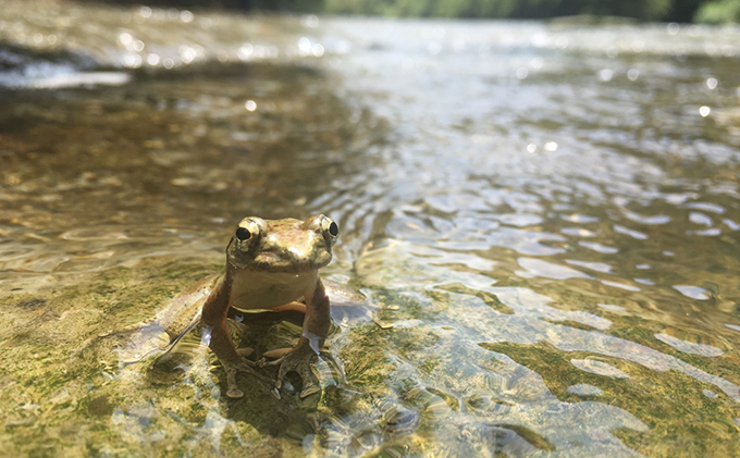 【お礼の品なし・ホームページで氏名掲載】チバニアン見学環境の整備に寄附を 