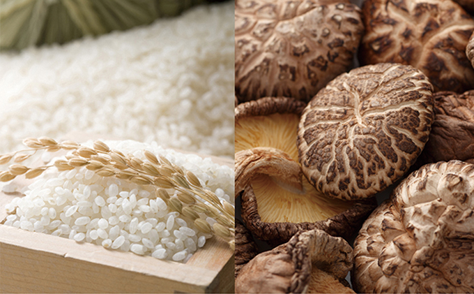 農匠泰山の音信米（おとずれまい）と乾椎茸のセット お米 加工食品 乾物 シイタケ