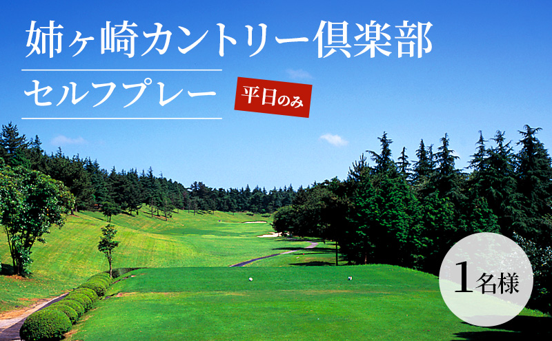 ゴルフ場 千葉 姉ヶ崎カントリー倶楽部 セルフプレー 平日のみ 1名様 ゴルフ 関東 チケット ゴルフ場利用券 プレー券 施設利用券