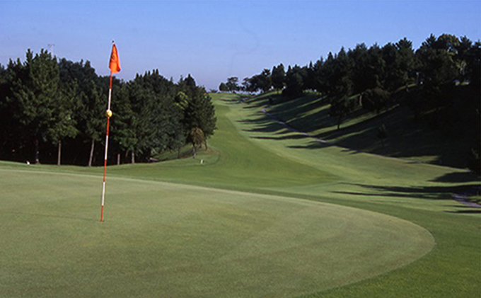 ゴルフ場 千葉 千葉セントラルゴルフクラブ 2名様 平日プレー招待券 ゴルフ 関東 チケット ゴルフ場利用券 プレー券 施設利用券 