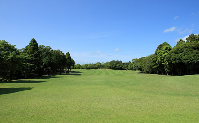 ãŽã«ãå Ž åè ããã çåå°ã«ã³ããªãŒã¯ã©ã å¹³æ¥ãã¬ãŒ 2åæ§ ãŽã«ã 颿± ãã±ãã ãŽã«ãå Žå©çšåž ãã¬ãŒåž æœèšå©çšåž