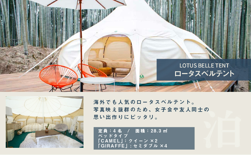 ã°ã©ã³ãã³ã° åè å®¿æ³ ã¢ããã«ã°ã©ã³ãã³ã° THE BAMBOO FOREST 宿æ³è£å©åž 3000ptå 宿æ³åž å
¥å Žåž ãã±ãã åç©å åç© æ
è¡ ã¬ãžã£ãŒ ãã³ã ã¢ãŠãã㢠BBQ èªç¶ äœéš