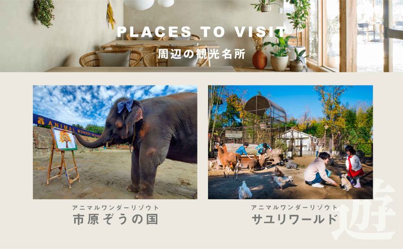 グランピング 千葉 宿泊 アニマルグランピング THE BAMBOO FOREST 宿泊補助券 10000pt分 宿泊券 入場券 チケット 動物園 動物 旅行 レジャー テント アウトドア BBQ 自然 体験 