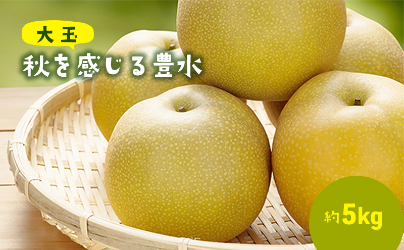 大玉！秋を感じる 豊水梨（5kg） 果物 フルーツ 