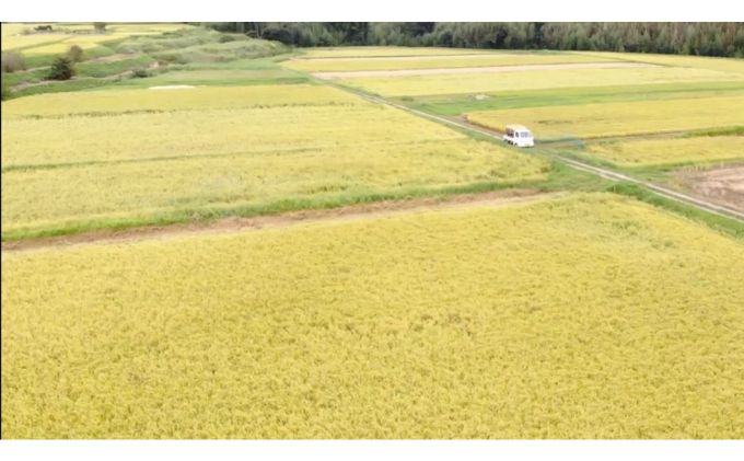 みなよし米【市原産コシヒカリ】6kg（2kg×3袋） お米 精米 白米 ブランド米 銘柄米 ご飯 おにぎり お弁当 産地直送 和食 