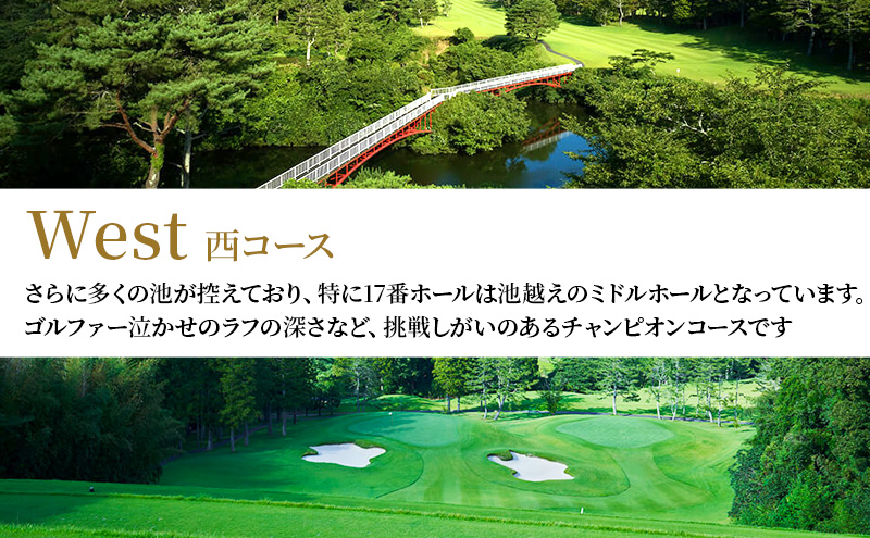 ãŽã«ãå Ž åè é¶Žèã«ã³ããªãŒå¶æ¥œéš å¹³æ¥ 1ã©ãŠã³ã 1åæ§ ã»ã«ããã¬ãŒåž ãŽã«ã 颿± ãã±ãã ãŽã«ãå Žå©çšåž ãã¬ãŒåž æœèšå©çšåž