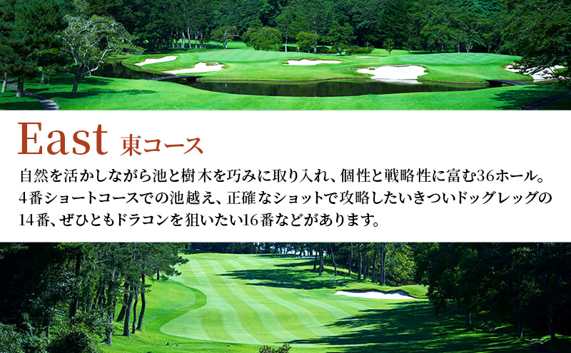 ãŽã«ãå Ž åè é¶Žèã«ã³ããªãŒå¶æ¥œéš å¹³æ¥ 1ã©ãŠã³ã 4åæ§ ã»ã«ããã¬ãŒåž ãŽã«ã 颿± ãã±ãã ãŽã«ãå Žå©çšåž ãã¬ãŒåž æœèšå©çšåž