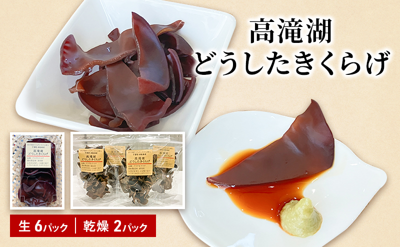 高滝湖どうしたきくらげ 生6パック 乾燥2パック 防空壕きくらげシステム導入 野菜 きのこ 生キクラゲ 乾燥キクラゲ 肉厚 食材 料理 調理 炒め物 スープ 国産 国産きくらげ