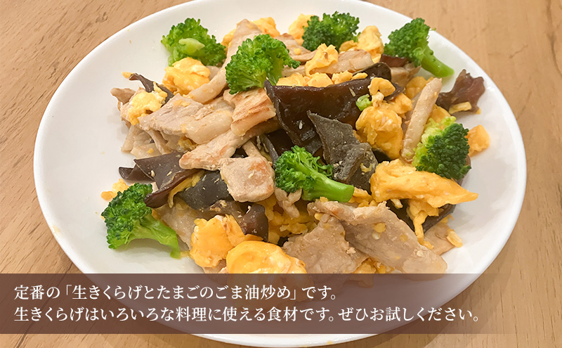 高滝湖どうしたきくらげ 生6パック 防空壕きくらげシステム導入 野菜 きのこ 生キクラゲ 肉厚 食材 料理 調理 炒め物 スープ 国産 国産野菜 国産きくらげ 