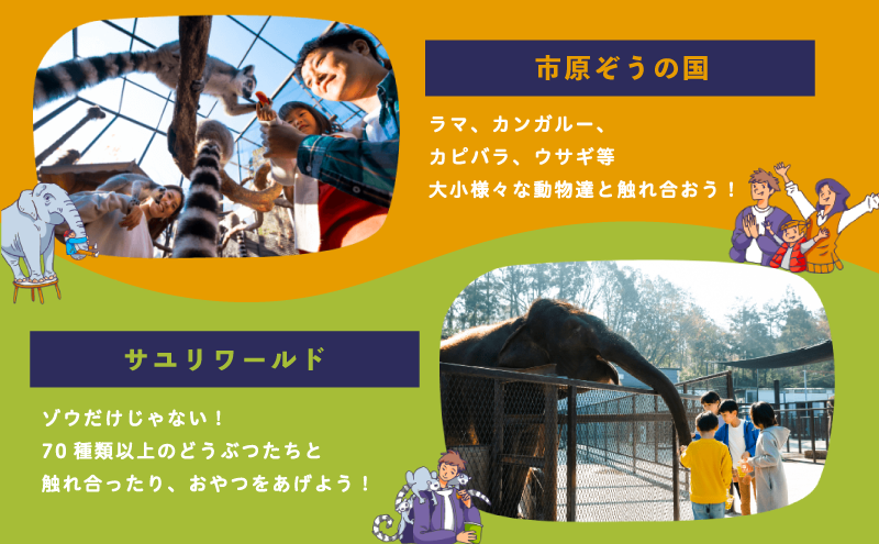 åžåããã®åœ ã㢠æåŸ
åž + åç©ã®ãã〠1ã€ã»ãã åç©å ãã±ãã å
¥å Žåž åªåŸ
åž ã¬ãžã£ãŒ äœéš æœèšå©çšåž