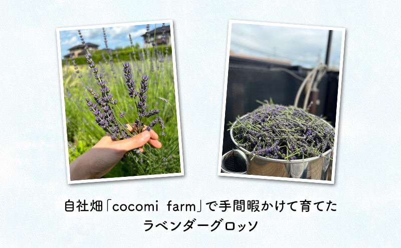 æãã²ã®ããã¯ãã¢ãžãã©ãã³ããŒããŒãã«ãŠã©ãŒã¿ãŒãå100ml 4æ¬ã»ãã ã¹ã® ããã ã¯ãã¢ãž è³éŠæµŽ ãªã©ãã¯ã¹å¹æ ã©ãã³ã㌠ããŒãã«ãŠã©ãŒã¿ãŒ åžååž åèç