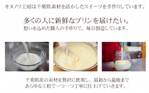 キヌノワプリン　CHIBAブルー6個セット