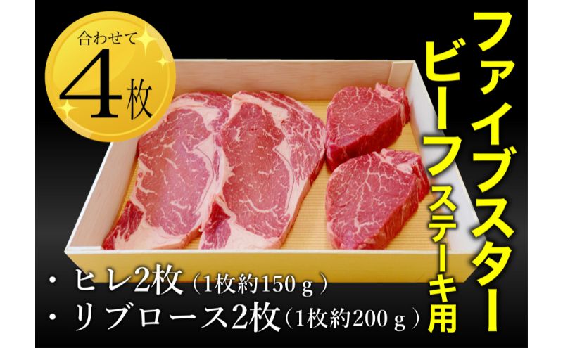 ステーキ リブロース 2枚 ヒレ 2枚 セット ファイブスター ビーフ 赤身 赤身肉 脂身 ロース ステーキ肉 肉 お肉 牛 牛肉 ディナー ニュージーランド産 冷凍 冷凍配送 千葉 千葉県 市原 市原市
