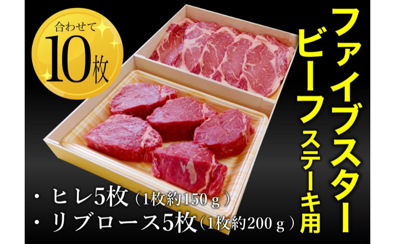 ファイブスタービーフステーキセット（ロース5枚、ヒレ5枚）ステーキ肉 肉 牛 牛肉 ニュージーランド産 市原市 千葉