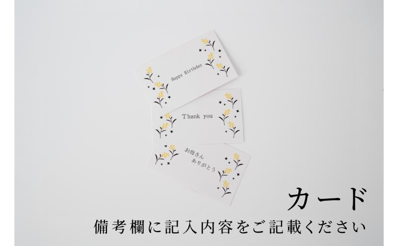 メッセージカード付/お重箱セット-工場直送！貝の旨みがぎゅっと詰まった【子栄丸ブランド】佃煮詰合せお楽しみセット お酒のおつまみ お惣菜 佃煮 串焼き はまぐり あさり 炊込みご飯の素 詰合せ