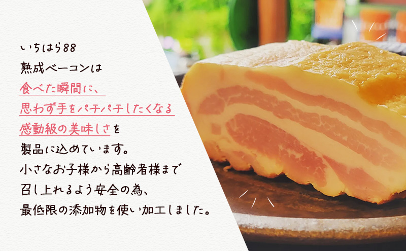 いちはら88熟成ベーコン約250g×12個入 ベーコン 冷凍 おかず おつまみ 市原市 千葉