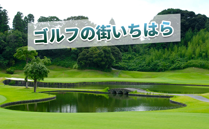 ゴルフ場 千葉 太平洋クラブ市原コース 平日 1R 1名様 セルフプレー券 ゴルフ 関東 チケット ゴルフ場利用券 プレー券 施設利用券 