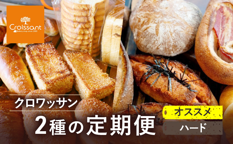 《カレーパングランプリ2025グランドチャンピオン受賞カレーパン入！》クロワッサン2種の定期便（オススメ、ハード）クロワッサン 食パン　朝食 ランチ セット