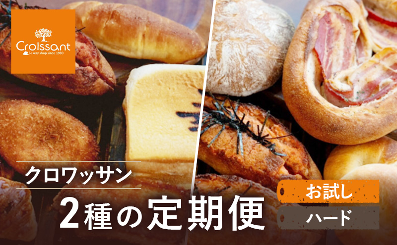 《カレーパングランプリ2025グランドチャンピオン受賞カレーパン入！》クロワッサン2種の定期便（お試し、ハード）クロワッサン 食パン　朝食 ランチ セット