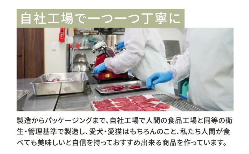 愛犬愛猫用副食 馬肺ジャーキー 20g×5個 ペット ペット用おやつ ペットフード 愛犬 愛猫 わんちゃん ねこちゃん 犬 猫 馬肺 馬肉 ご褒美