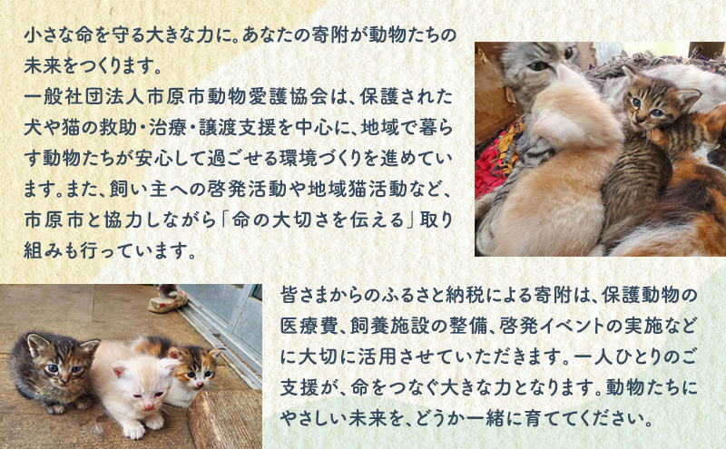 洋菓子 【第2クローバー学園】手作りにこだわったギフトC お菓子 焼き菓子 セット マドレーヌ マフィン フィナンシェ フロランタン ジャム ダンプリング 市原市 千葉県