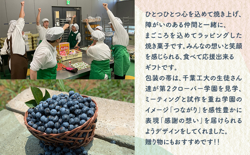 洋菓子 【第2クローバー学園】手作りにこだわったギフトC お菓子 焼き菓子 セット マドレーヌ マフィン フィナンシェ フロランタン ジャム ダンプリング 市原市 千葉県