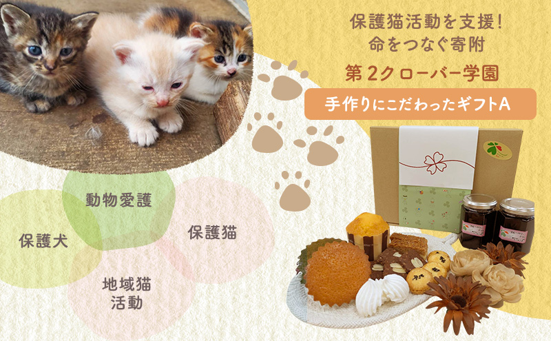 洋菓子 【第2クローバー学園】手作りにこだわったギフトA お菓子 焼き菓子 セット マドレーヌ クッキー マフィン ムラング フィナンシェ ジャム 市原市 千葉県