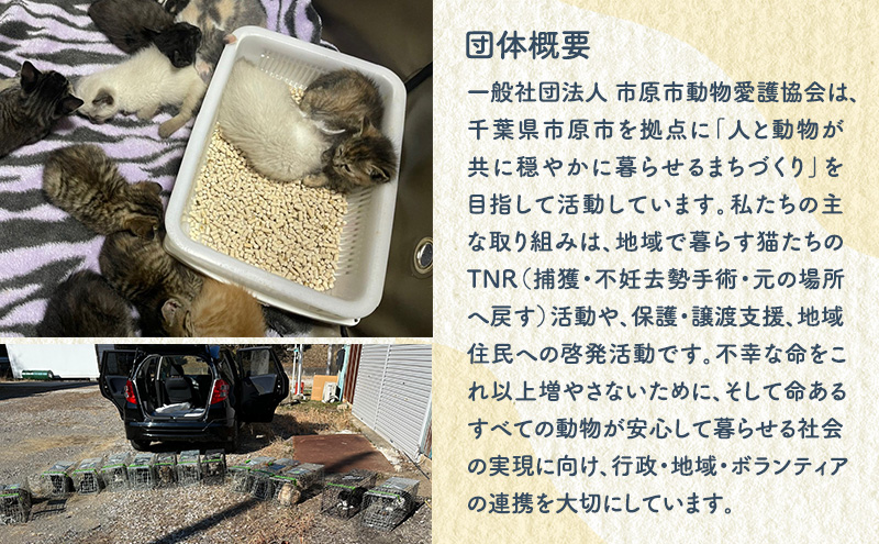 洋菓子 【第2クローバー学園】手作りにこだわったギフトC お菓子 焼き菓子 セット マドレーヌ マフィン フィナンシェ フロランタン ジャム ダンプリング 市原市 千葉県