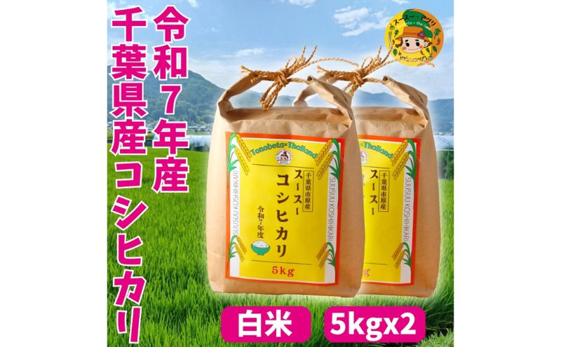 お米 千葉県市原市 スースーコシヒカリ 10kg (5kgx2) 米 コメ 白米 コシヒカリ こしひかり ふっくら 甘み 上品な香り 冷めても美味しい 市原市 千葉県