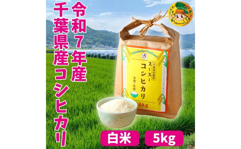 お米 千葉県市原市産 スースーコシヒカリ 5kg 米 コメ 白米 コシヒカリ こしひかり ふっくら 甘み 上品な香り 冷めても美味しい 市原市 千葉県