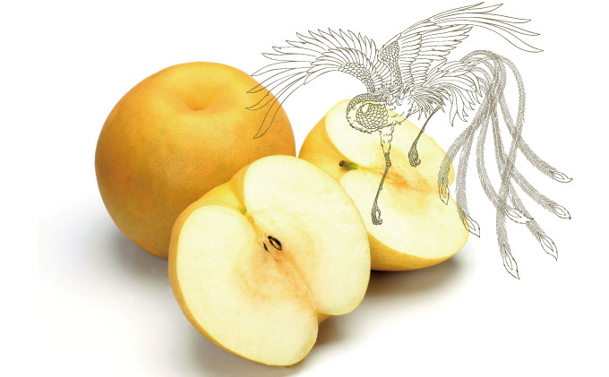 çæŸã æ¢šã®ç§å³ïŒéžé é
¢ïŒïŒæ¬ã»ãã ãã ãã¬ãã·ã³ã° æå®é
¢