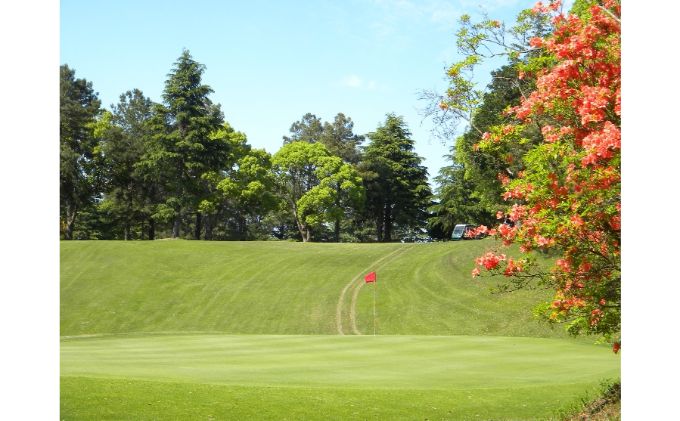 ゴルフ場 千葉 ちばパブ CPGカントリークラブ セルフプレー昼食付ご招待券 土日祝 1名様 4枚 ゴルフ 関東 チケット ゴルフ場利用券 プレー券 施設利用券 
