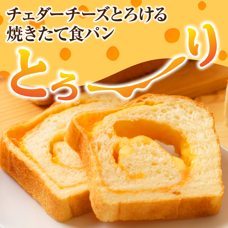 チェダーチーズ食パン1本(約1.5斤)