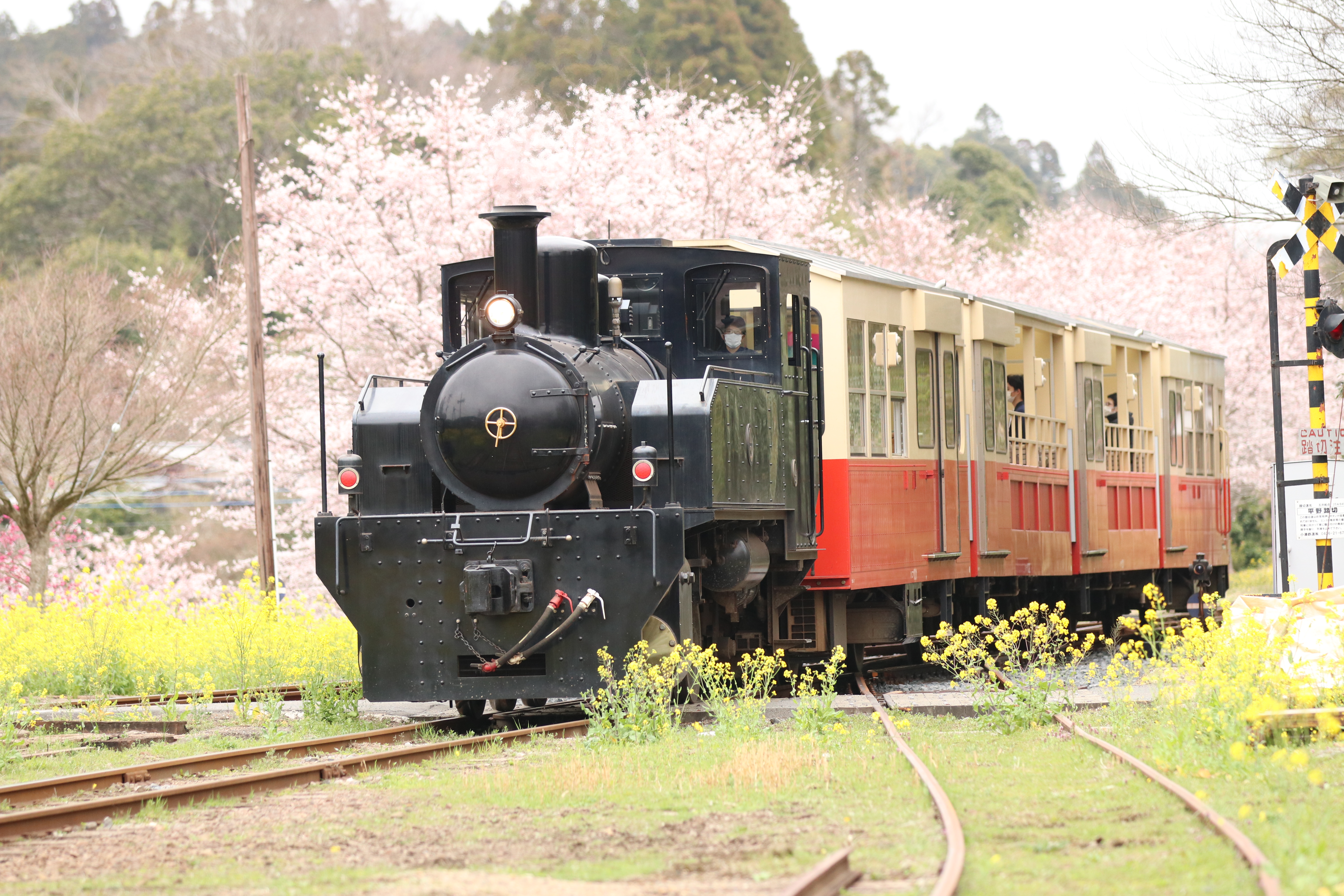 千葉県市原市