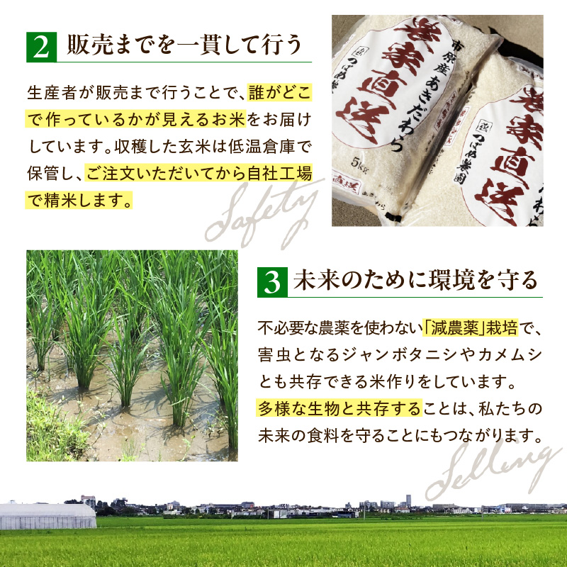 令和7年産「気和味米」千葉県産コシヒカリ 白米 5kg