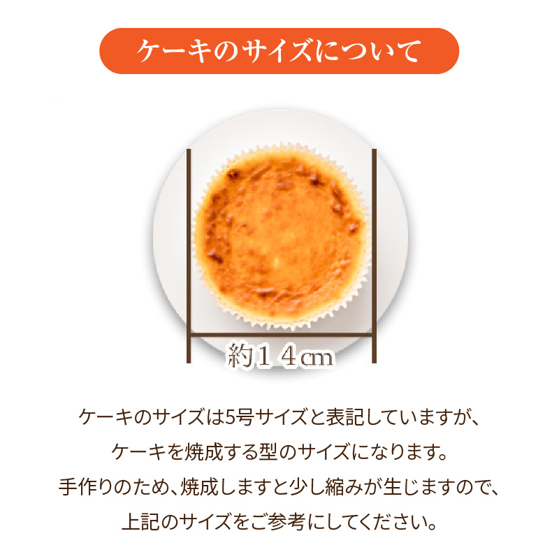 キヌノワチーズケーキ プレーン 5号(約14cm)