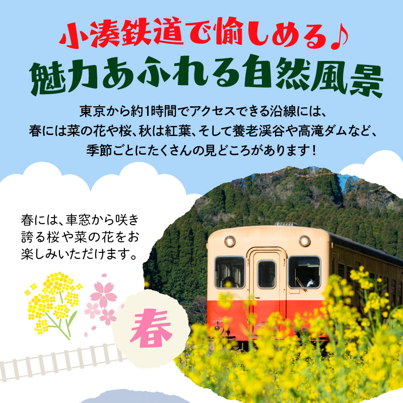 小湊鉄道一日フリー乗車券 ペアセット