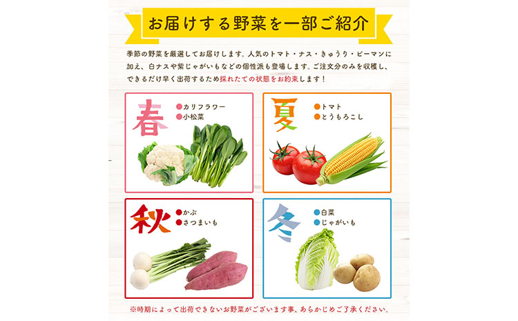 野菜 旬の野菜セット Lサイズ 約10～11種 《30日以内に出荷予定(土日祝除く)》 ベジLIFE!!季節の野菜  料理 甘い 採れたて トマト 新玉ねぎ じゃがいも キャベツ 白菜 ベジライフ 千葉県 我孫子市 【配送不可地域あり】（沖縄・離島） 